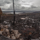 A harrowing scene in Tasmania’s World Heritage Forests, some of which burned for the first time in memory this past summer. Image: Dan Broun
